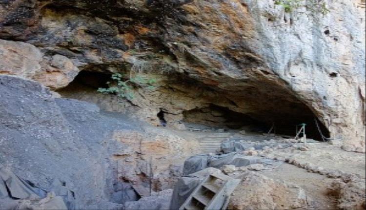 جذور الحضارة: اكتشاف ماضي المغرب العربي "النباتي"