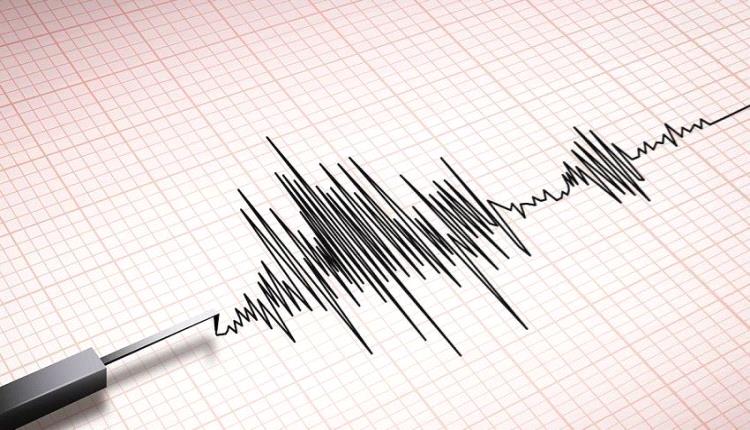 #زلزال بقوة 4.5 درجات يضرب جزر فيجي جنوب المحيط الهادئ